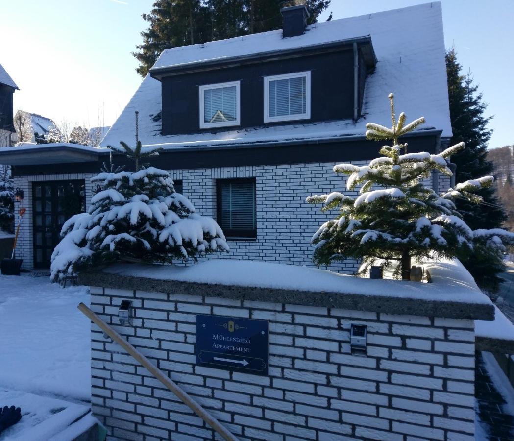 Apartment Muehlenberg Winterberg Luaran gambar